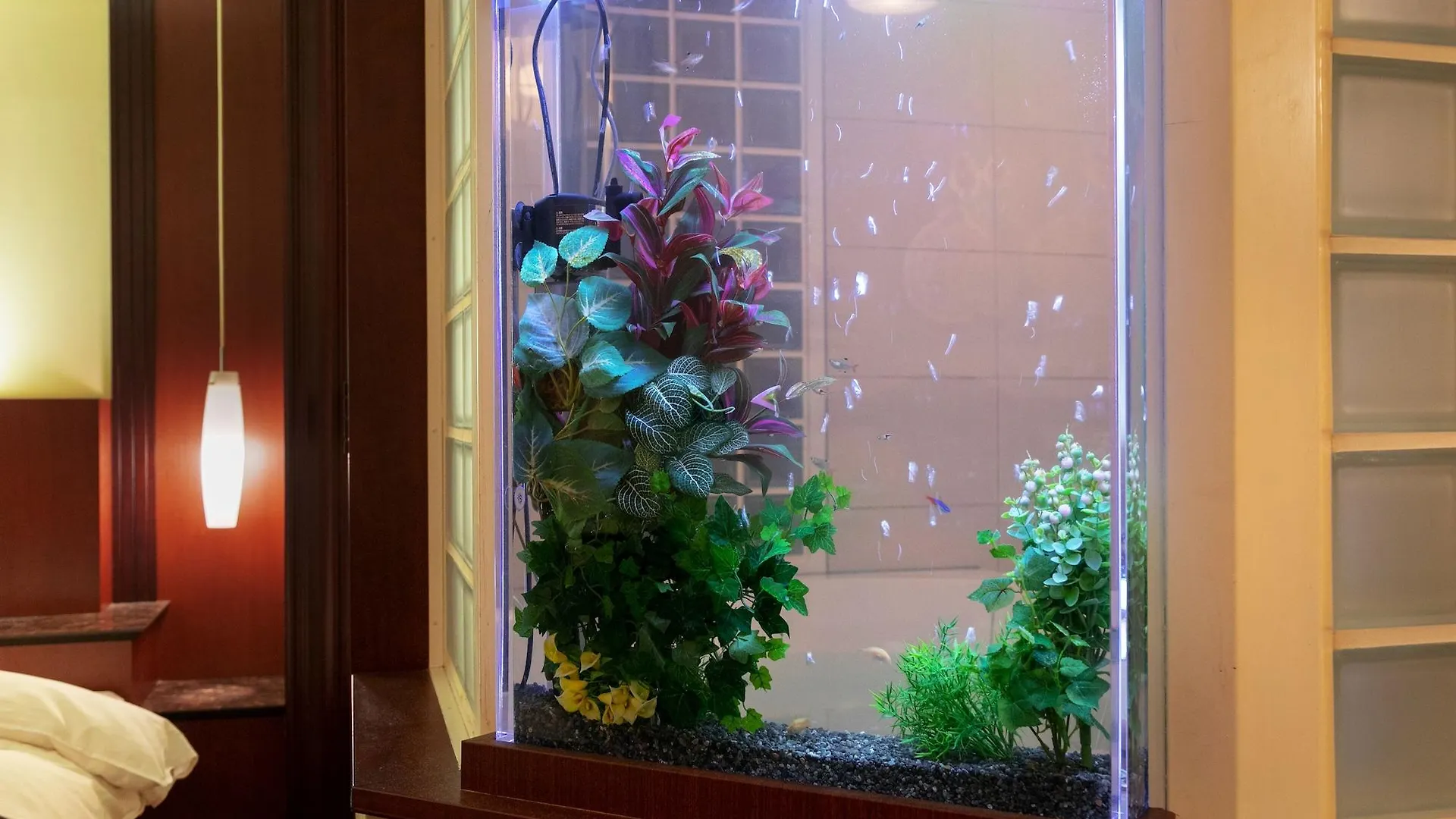 Hotel & Spa Lotus (Adults Only)  Kyōto