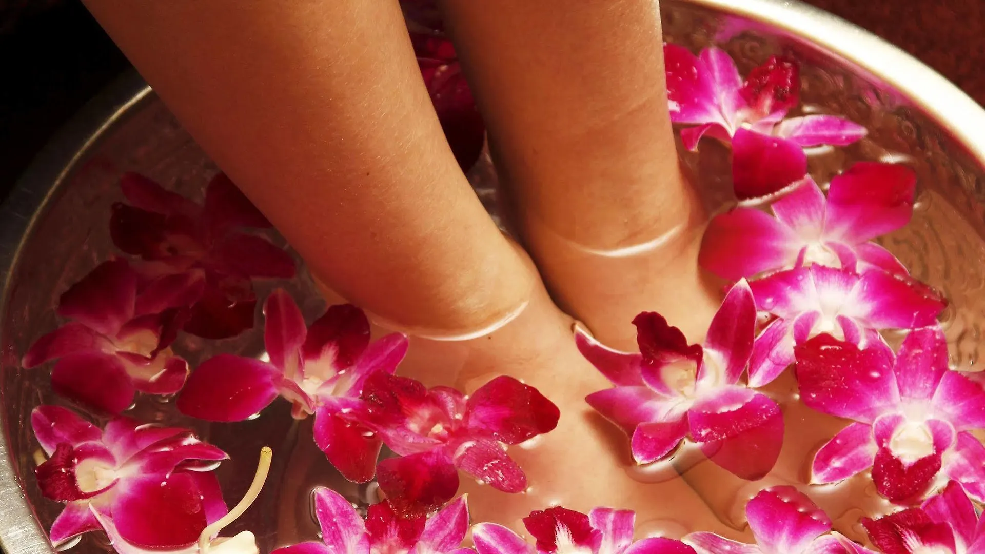 Hotel & Spa Lotus (Adults Only)