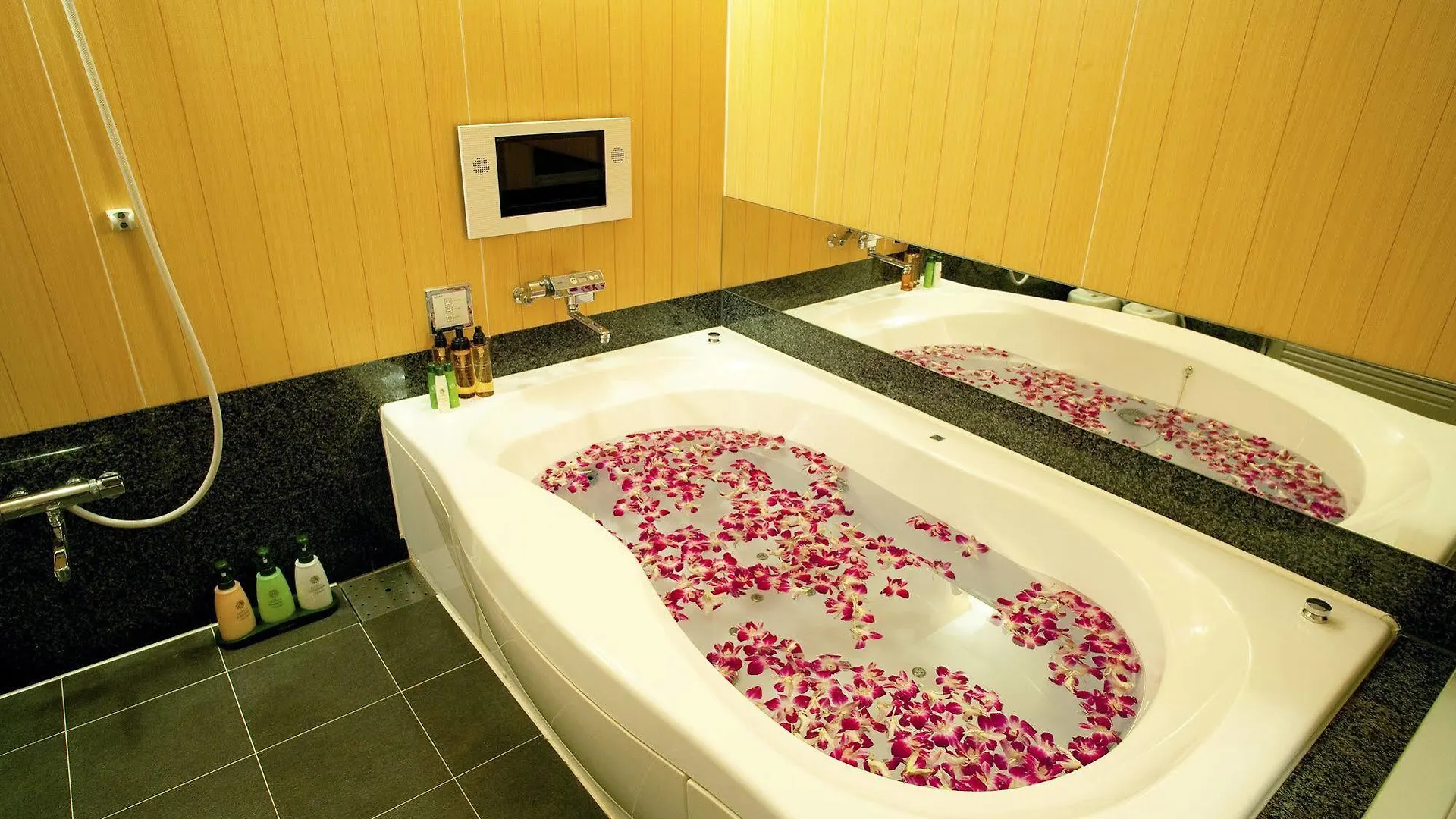 Hotel & Spa Lotus (Adults Only)